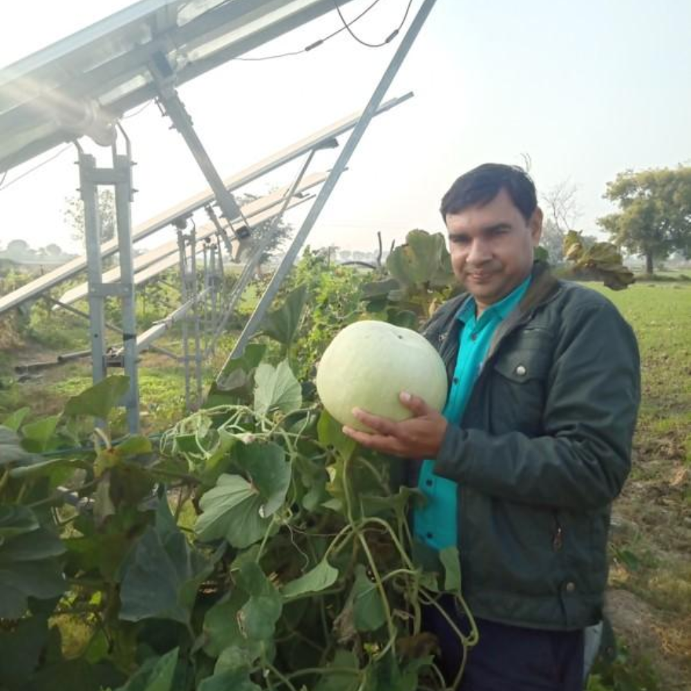 green-changemakers